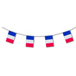 17ft France International Flag Bunting