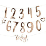Rose Gold Create Your Own Birthday Bunting-1.5m