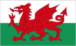 3ft by 2ft Wales Flag