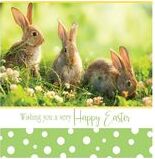Pack of 6 Easter Square Bunny and Chick Cards