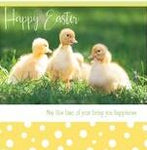 Pack of 6 Easter Square Bunny and Chick Cards