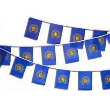 19ft Commonwealth Flag Bunting